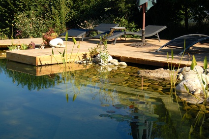 piscine biologique naturelle